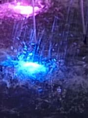 Видеосъемка фотоаппаратом Leica SL (Typ 601)