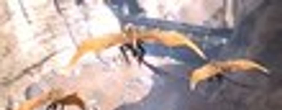 Gamescom-трейлер The Technomancer