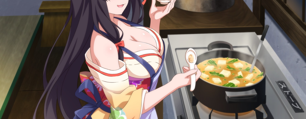 Nintendo запретила в eShop эротически игры, где есть девушки с оголённой грудью. Чтобы не вредить бренду