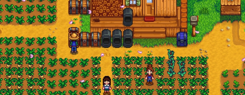 Для Stardew Valley на Switch выпускают патч, исправляющий «постыдную» ошибку