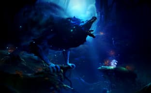 Создатель серии Ori и директор студии Moon считает идею добавления повестки в игры «извращенной»