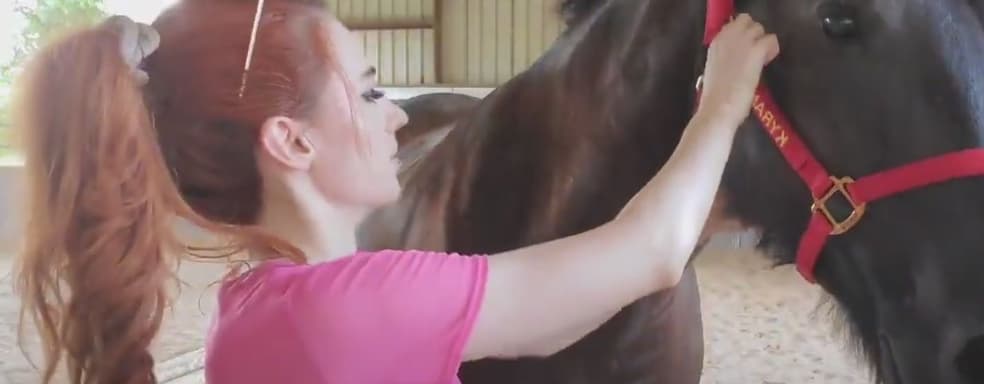 Amouranth доминирует на Twitch. Она самый популярный стример в категории «Животные, аквариумы и зоопарки»