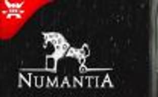 Вышла пошаговая стратегия Numantia