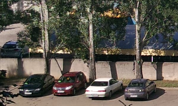 Снимок на тыловую камеру ASUS Transformer Pad Infinity