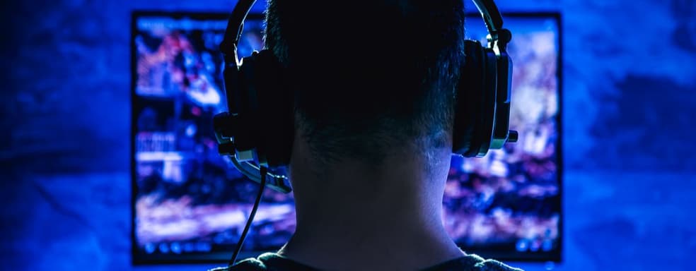 Член Совфеда призвал усилить контроль за жестокими играми