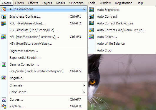 Список автоматических улучшений фотографий в Photo Pos Pro