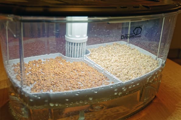 Проращиватель Rawmid DS-01