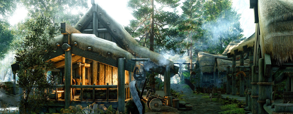 Фанат Skyrim узнал о своём дальтонизме, благодаря цветам из игры Bethesda