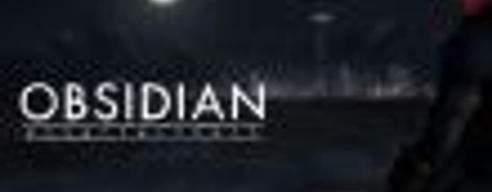 В не анонсированной ролевой игре от Obsidian не будет контейнеров и микротранзакций