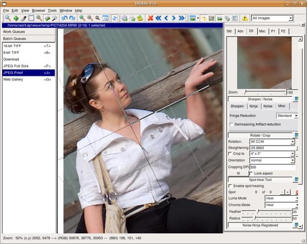 Поворот изображения с помощью сетки в Bibble Pro