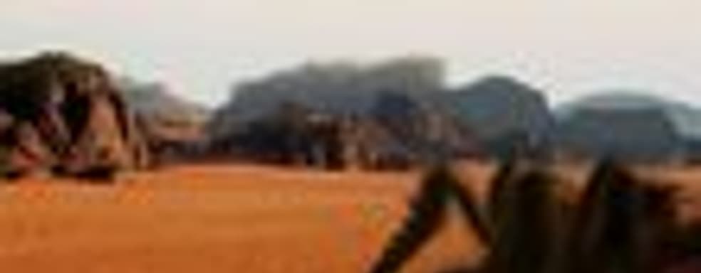 Первый скриншот Shadow of the Colossus 2...оказался «липовым»