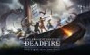 Кампания Pillars of Eternity II: Deadfire собрала $4,4 млн.