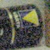 Nikon D100
