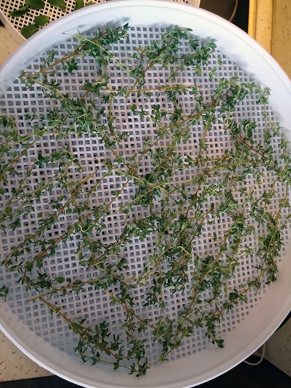 Электросушилка для продуктов Ротор «Дива» СШ-007