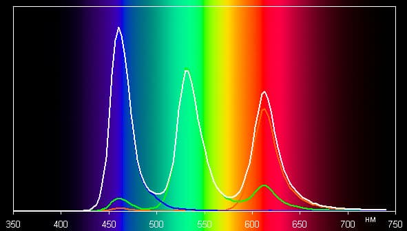 Обзор умных часов Apple Watch. Тестирование дисплея