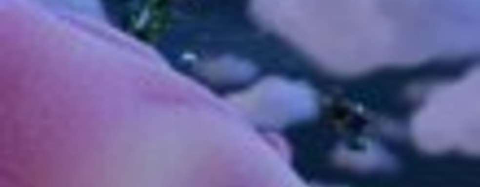 РС-версия Plants vs. Zombies: Garden Warfare в продаже