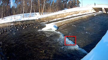 Экшн-камера AC Robin Zed2