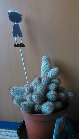 Обзор смартфона LG Optimus G Pro