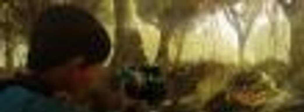 «Плати, чтобы выживать»: Bethesda вновь нарушила обещание продавать в Fallout 76 за реальные деньги только косметику