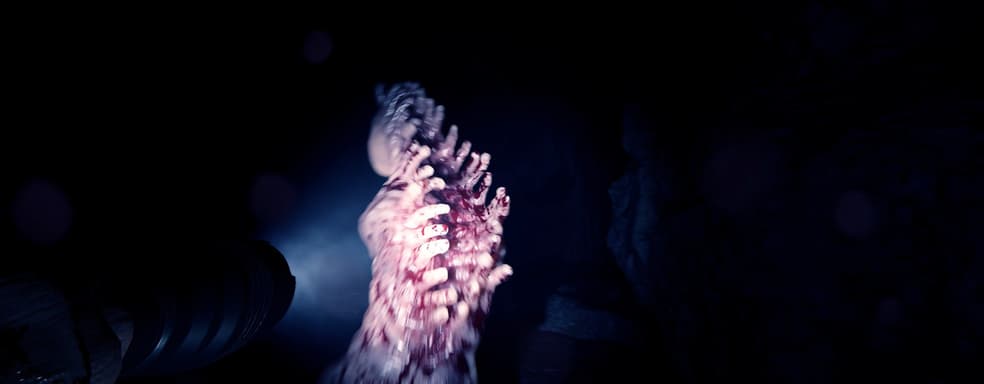 Sons of the Forest покинет ранний доступ до конца февраля