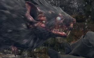 В этом ролике показана вся живность из тестового билда Elden Ring