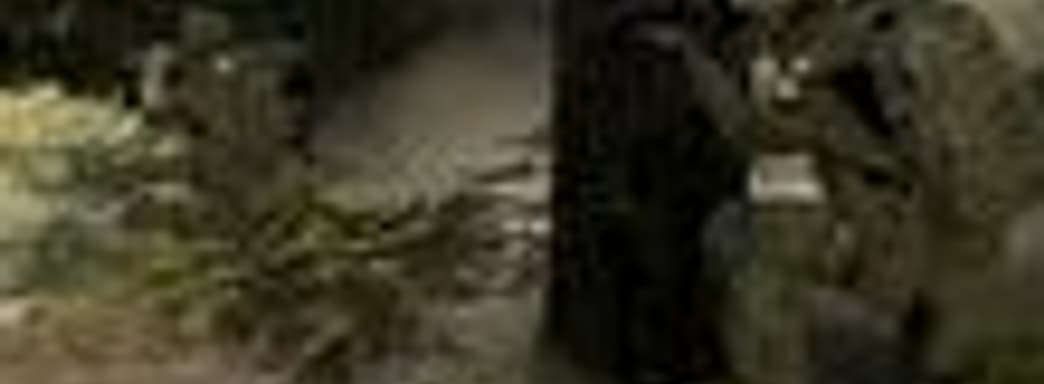 Дата выхода ArmA II