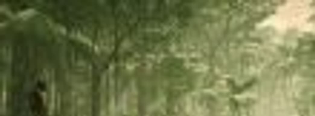 Особенности изучения мира в новом ролике Ancestors: The Humankind Odyssey