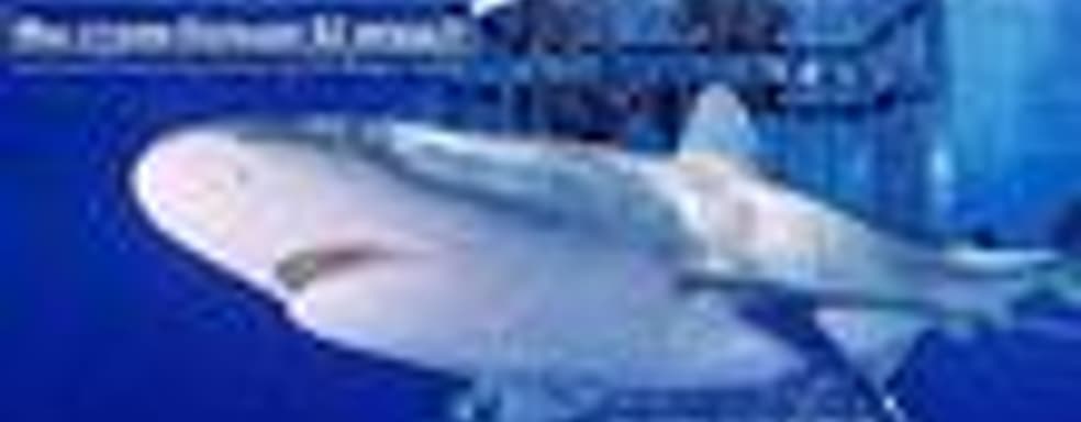 EA нe смогла купить Take-Two. Пока не смогла…