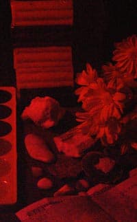 УФ фильтр на камере