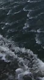 Панорамная камера Samsung Gear 360