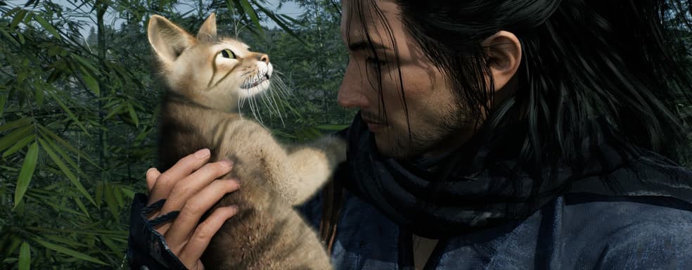 Бедный SSD. ПК-версия Rise of the Ronin займет 180 гигабайт на накопителе