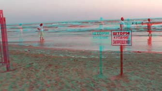 Movavi Video Converter 3D