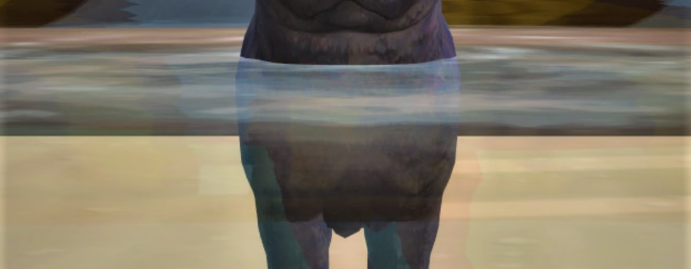 Разработчикам The Sims 4 интересно, насколько игроки недовольны и что хотят