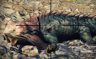 Тодд Говард ответил на критику продажи модов Starfield и заступился за идеи Creation Club