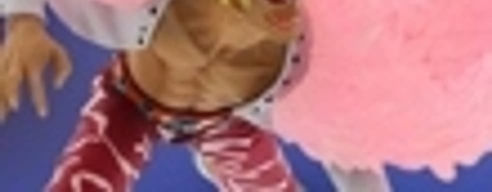 Европа получит One Piece: Pirate Warriors 3 Doflamingo Edition 