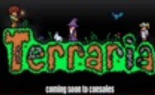 Terraria появится в PSN и XBL