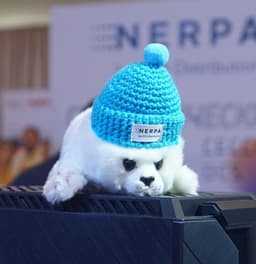 Nerpa: Two Years in the IT Ocean