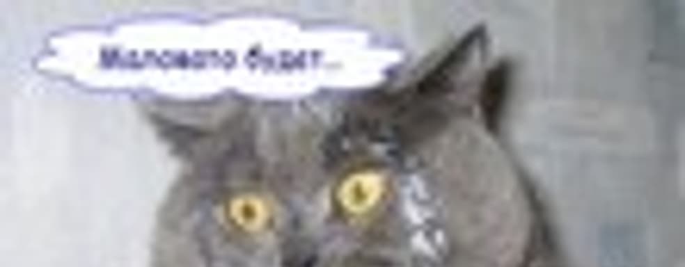 Котик об Xbox Live