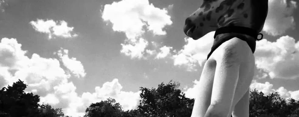 На фоне бана в Steam и Epic Games Store хоррор Horses стал бестселлером в GOG