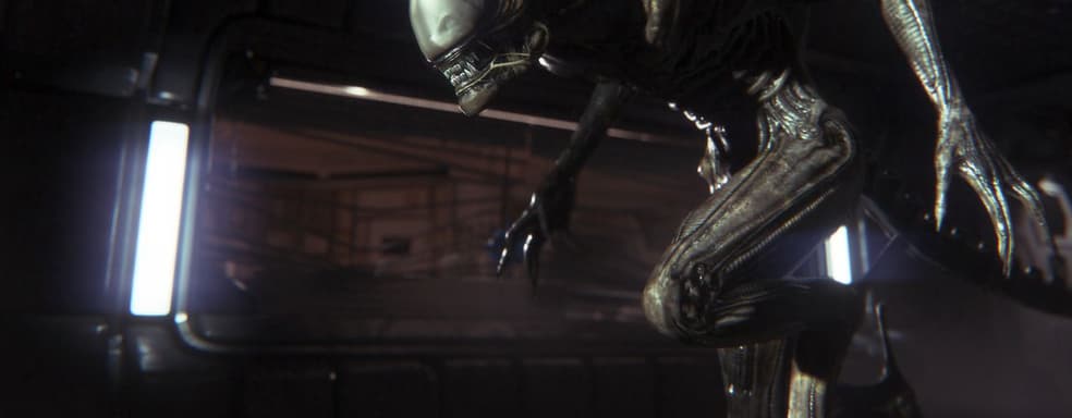 «Shadow of the Tomb Raider с ксеноморфами». Eidos возобновила работу над новым хоррором по вселенной «Чужих» — СМИ