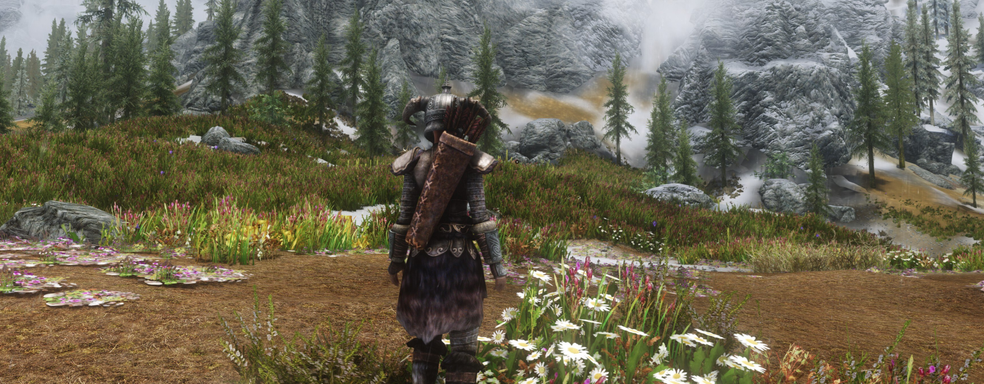 Блогер посчитал количество деревьев в TES V: Skyrim и получил подсказку от Тодда Говарда о контенте The Elder Scrolls VI