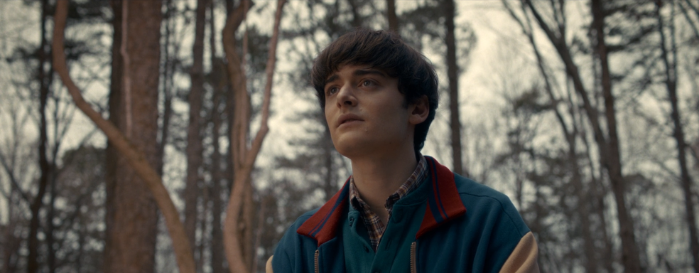 Noah Schnapp confessed that he earned enough from "Stranger Things" to last a lifetime