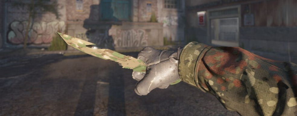 Россиянин стал репетитором по Counter-Strike 2 и раскрыл ежемесячный заработок