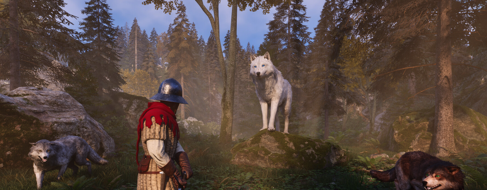 Создатели Knight's Path ответили на подколку издателя Baldur's Gate 3 о возможности романа с улитками