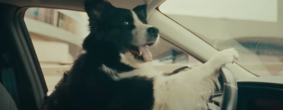 Безумие, взрывы и юмор. Трейлер с живыми актёрами напомнил о скорой премьере Borderlands 4