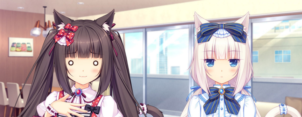 «Законность — не определяющий фактор»: активистки, добившиеся удаления игр из Steam, неудовлетворены системой модерации