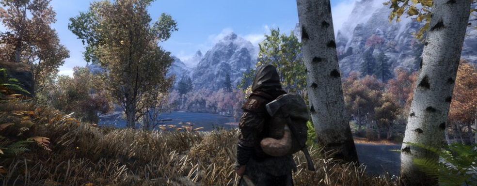 Спустя 14 лет баги Skyrim продолжают удивлять — геймер заметил ошибку с цветом медведей