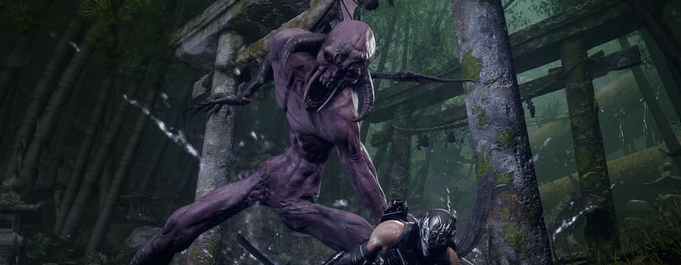 Ninja Gaiden 4 получит масштабное дополнение с новой историей и уникальным оружием