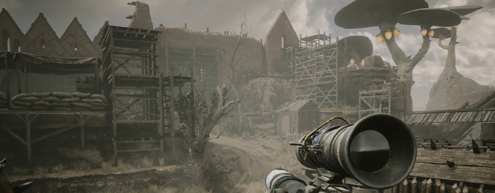 Instead of the beta date, the authors of PIONER showed a dead tree — gamers have a theory