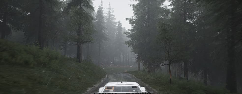 Assetto Corsa Rally Simulator Gameplay Unveiled